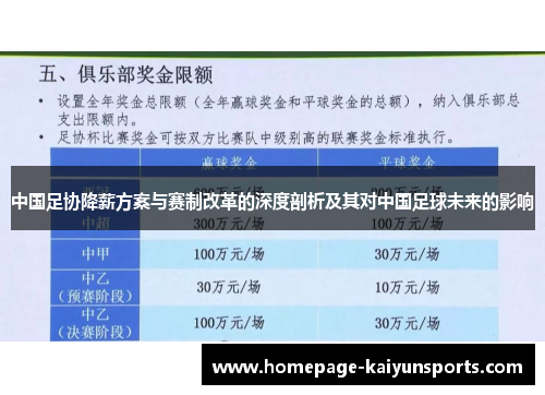中国足协降薪方案与赛制改革的深度剖析及其对中国足球未来的影响