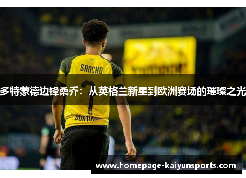 多特蒙德边锋桑乔：从英格兰新星到欧洲赛场的璀璨之光