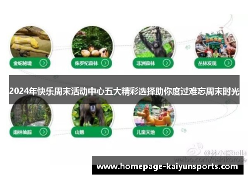 2024年快乐周末活动中心五大精彩选择助你度过难忘周末时光