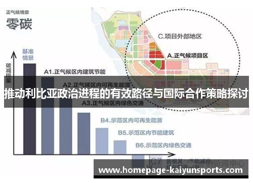 推动利比亚政治进程的有效路径与国际合作策略探讨